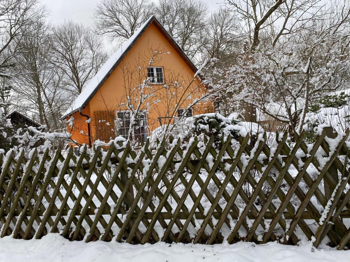 Апартаменты Ferienhaus Mittelmuhle Тойпиц Экстерьер фото